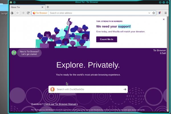 Kraken online